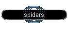 spiders