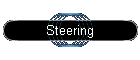 Steering